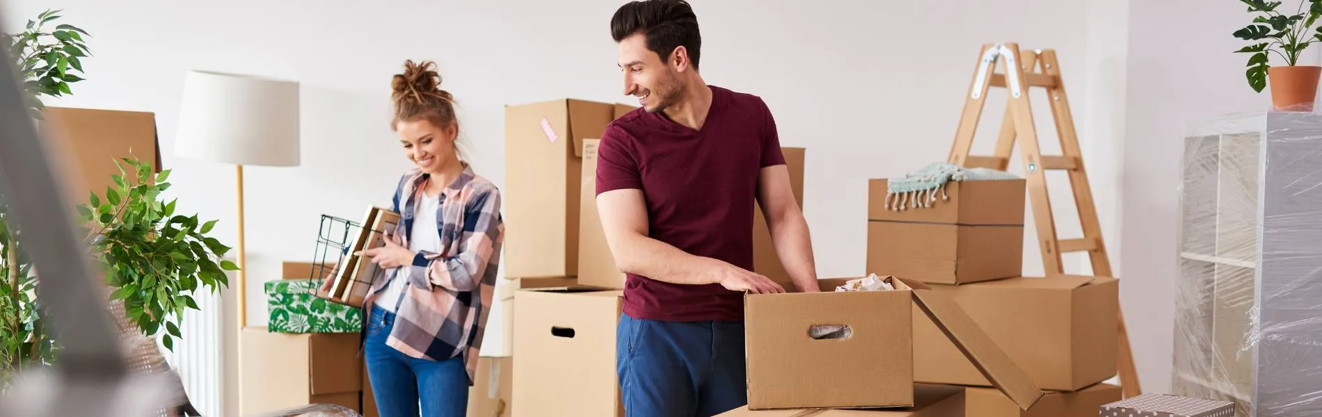 🚚 Sheffield to Plymouth Moving: Prices from £209 - Book Now! 📦